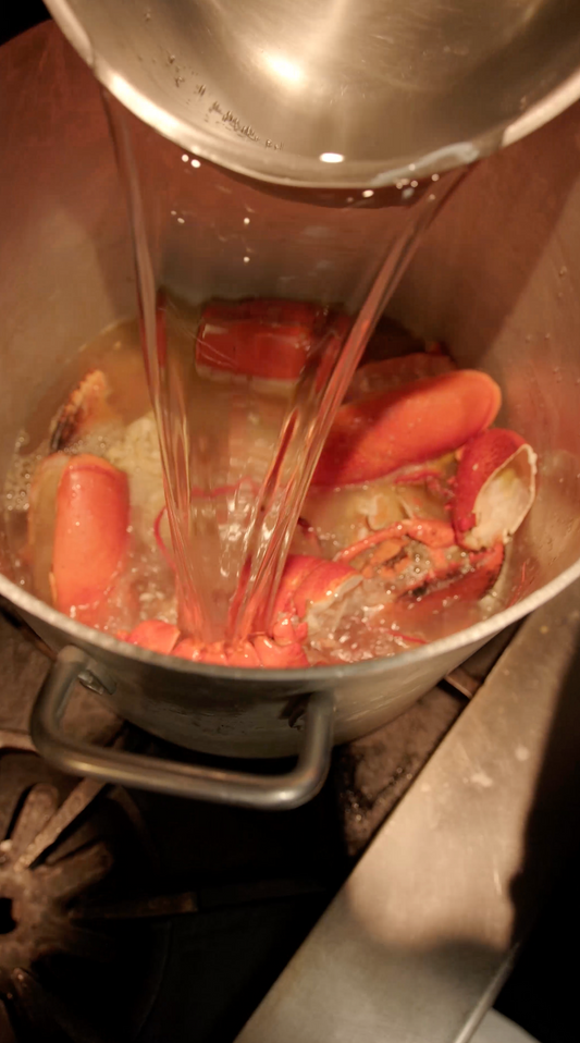 Fumet de homard maison